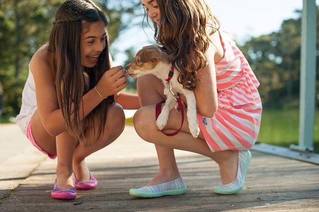 Dogs are more susceptible to children's behavior